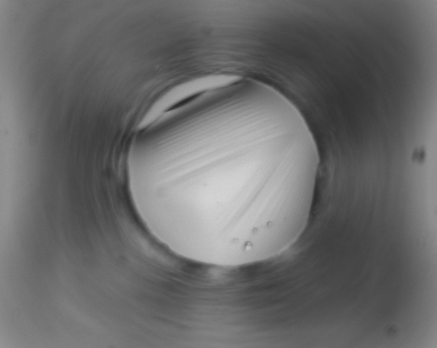 X0000113940188200910161924