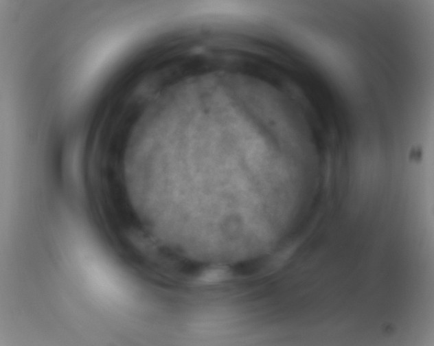 X0000113940189200910161924