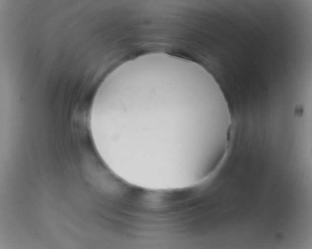 X0000113940190200910161924