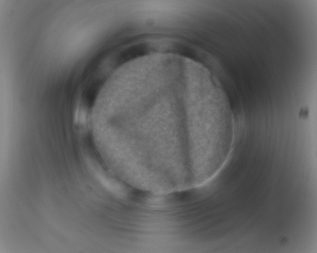 X0000113940191200910161924