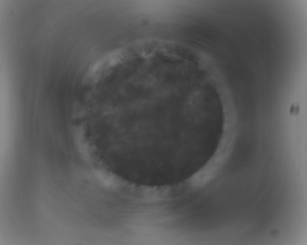 X0000113940192200910161924