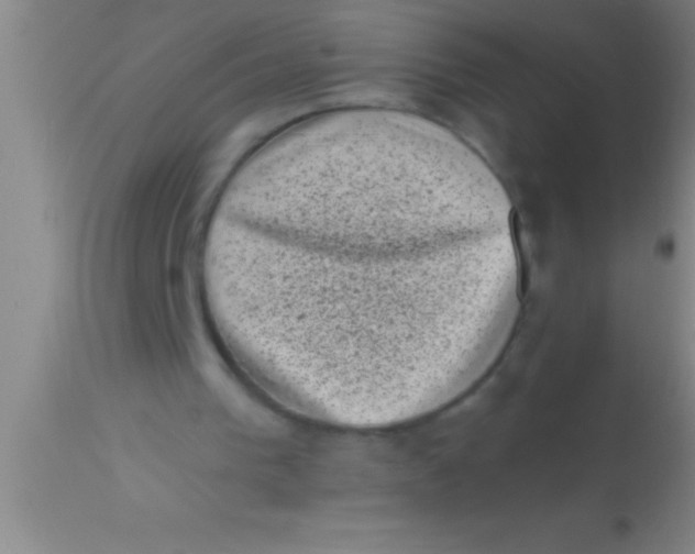 X0000113940193200910161923