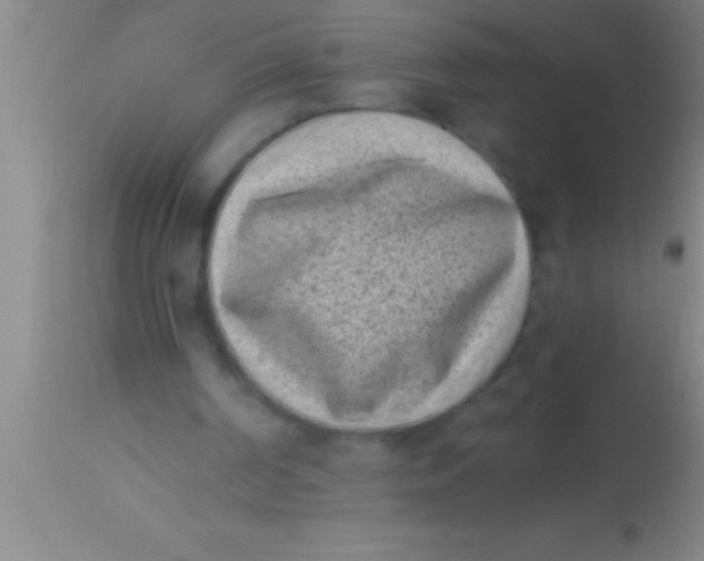 X0000113940194200910161923
