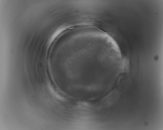 X0000113940195200910161923