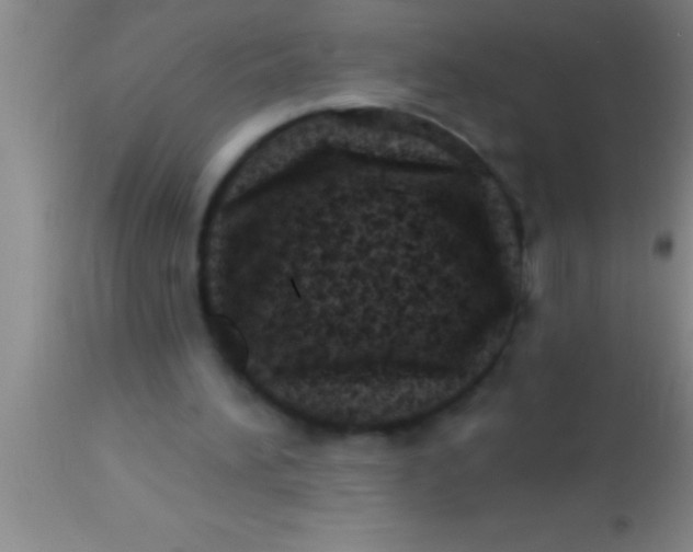 X0000113940196200910161923