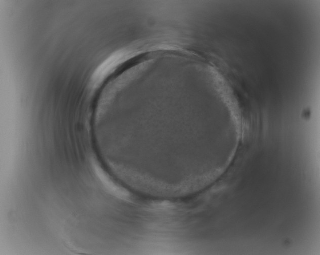 X0000113940197200910161923