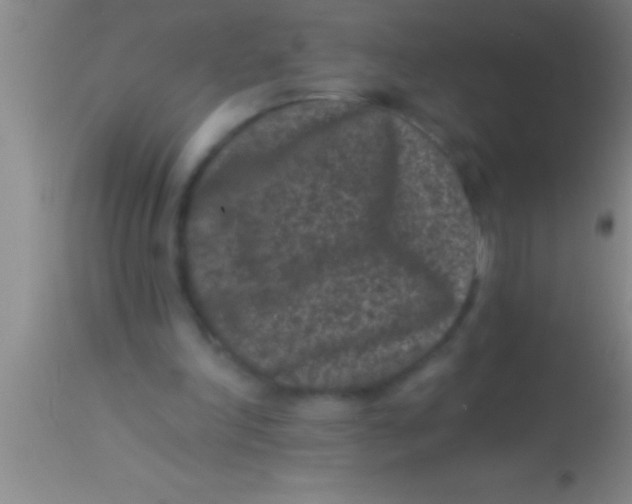 X0000113940198200910161923