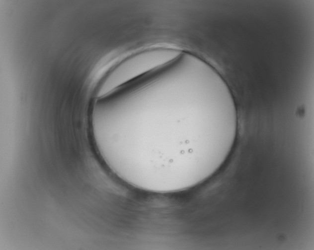 X0000113940199200910161923