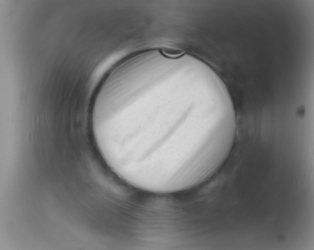 X0000113940200200910161923