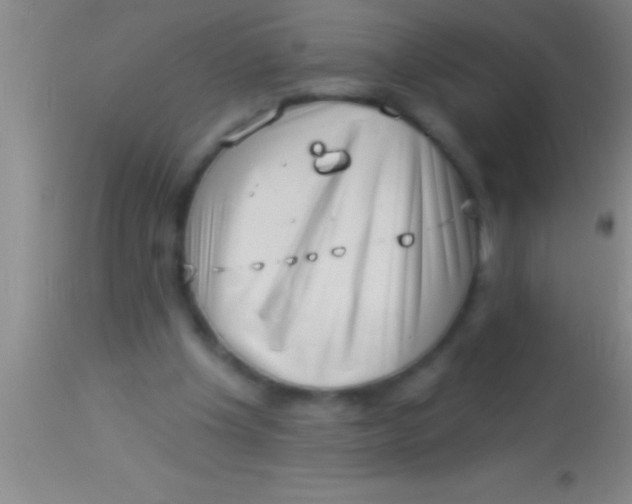 X0000113940201200910161923
