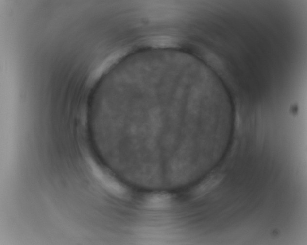 X0000113940202200910161923