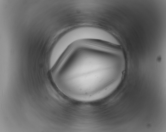 X0000113940203200910161923