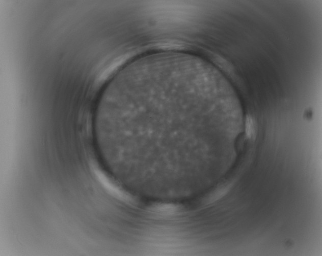 X0000113940205200910161923