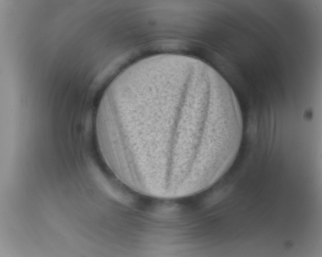 X0000113940206200910161923