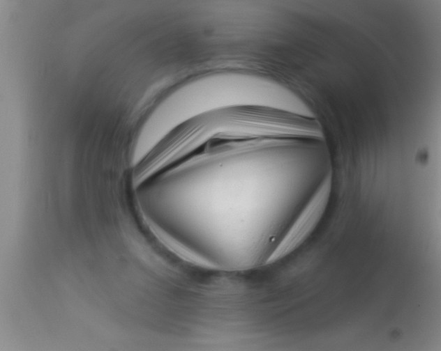 X0000113940207200910161923