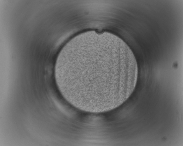 X0000113940208200910161923