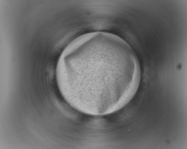 X0000113940210200910161923