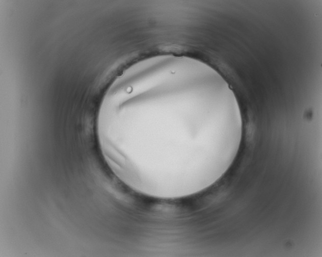 X0000113940211200910161923