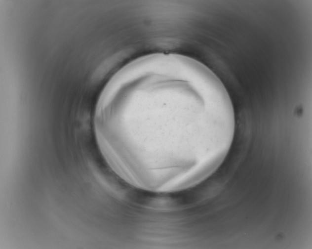 X0000113940212200910161923