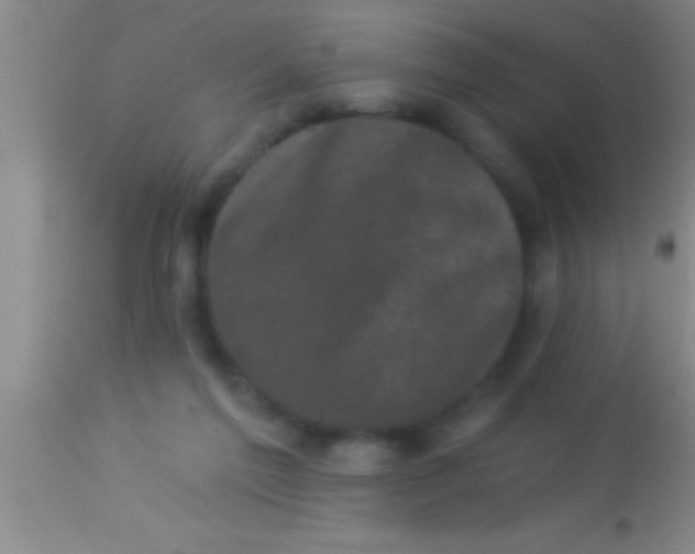X0000113940213200910161923