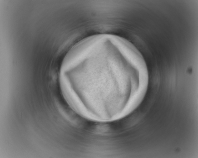 X0000113940214200910161923