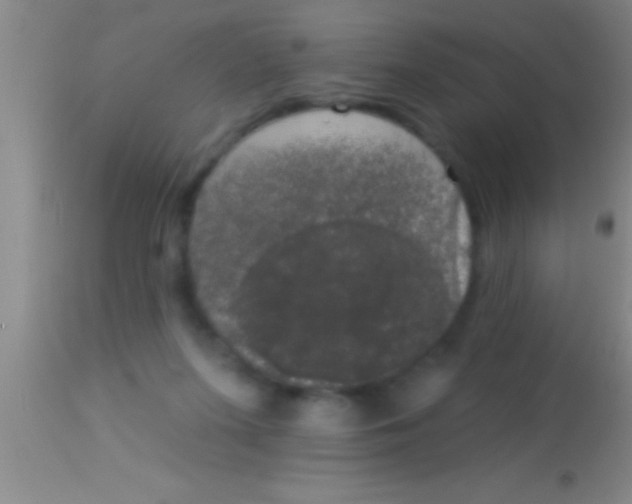 X0000113940215200910161923