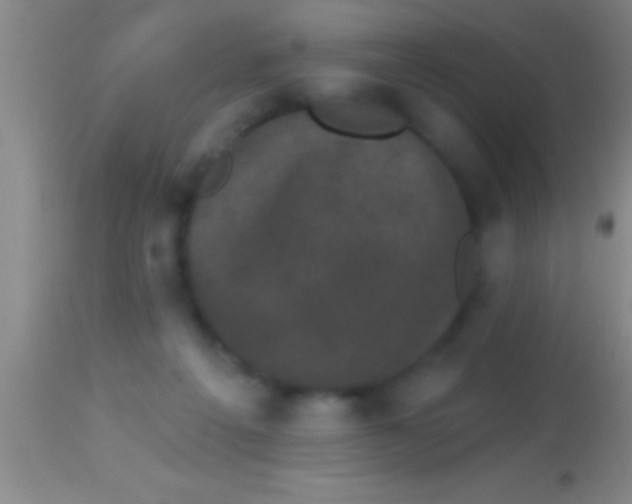 X0000113940217200910161923
