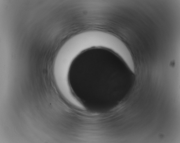 X0000113940219200910161923