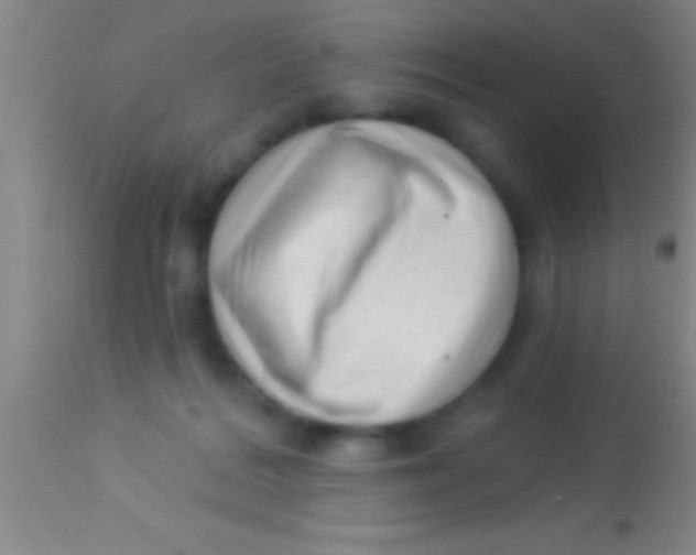 X0000113940220200910161923