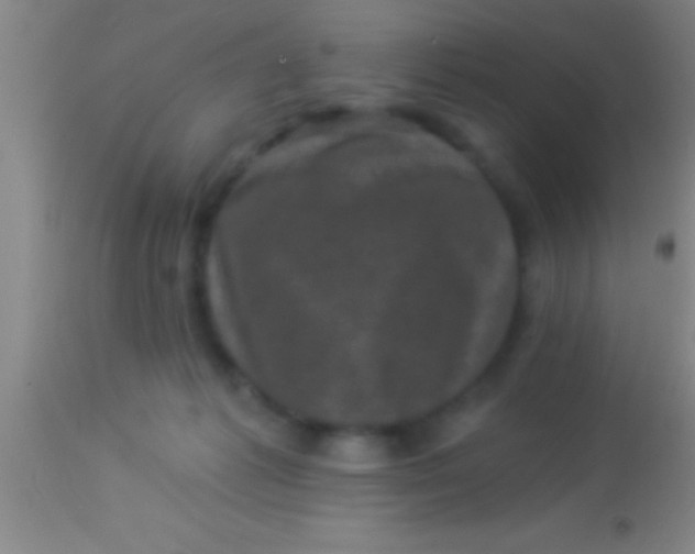 X0000113940221200910161923