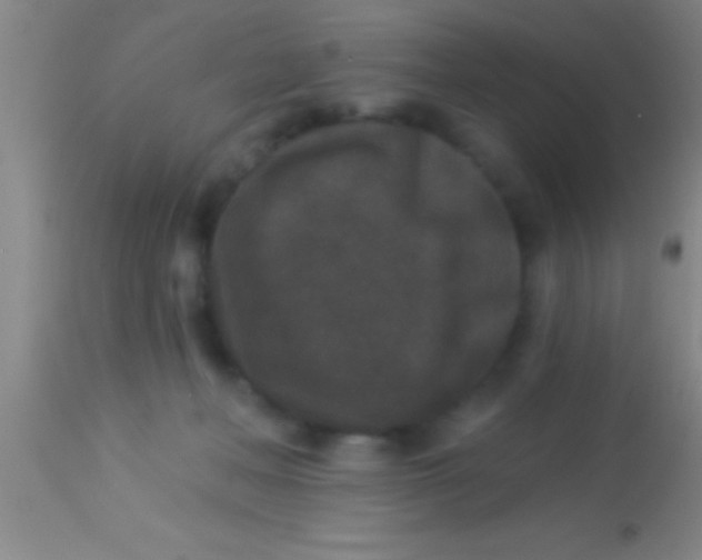 X0000113940222200910161922