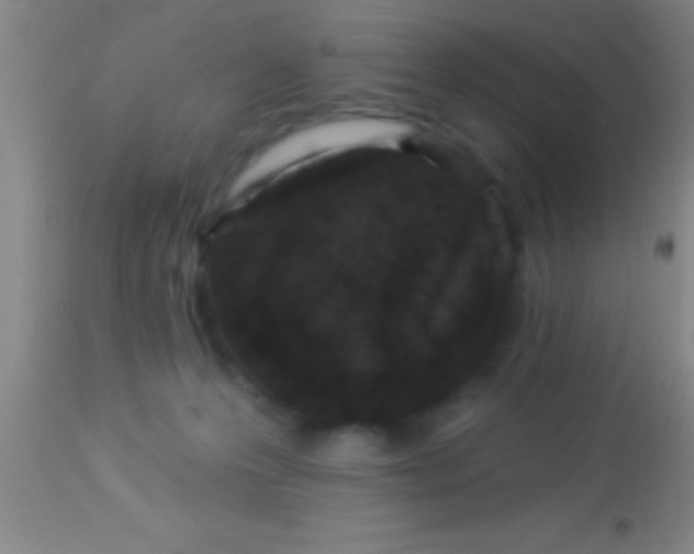 X0000113940223200910161922