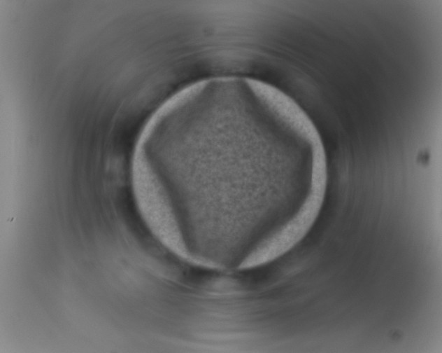 X0000113940224200910161922