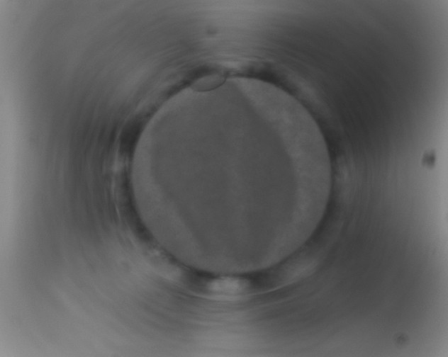 X0000113940225200910161922