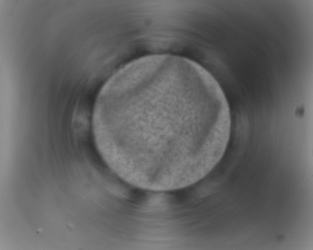 X0000113940226200910161922