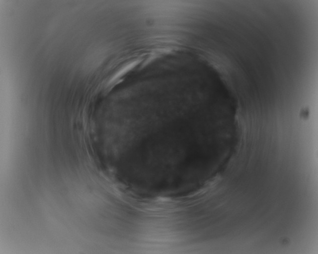 X0000113940227200910161922