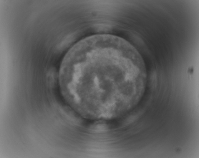 X0000113940228200910161922