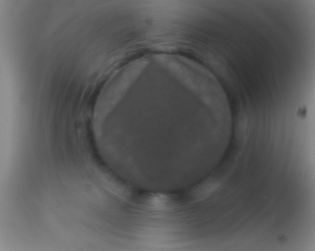 X0000113940229200910161922