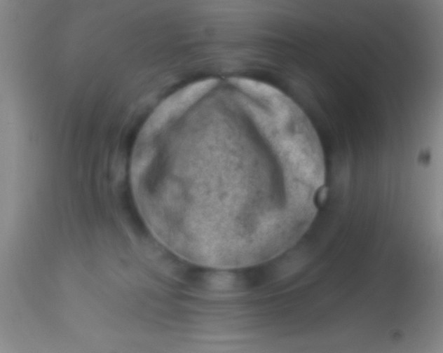 X0000113940230200910161922