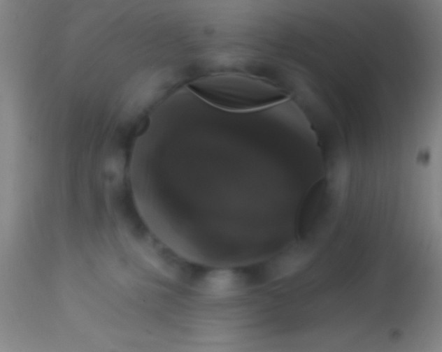 X0000113940231200910161922