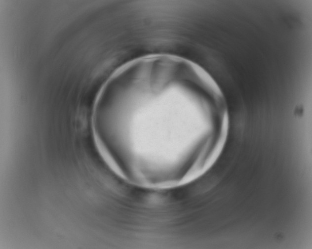 X0000113940232200910161922