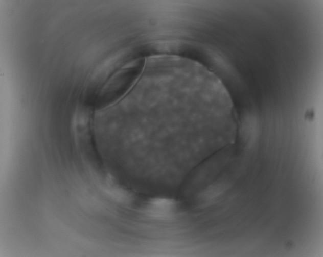 X0000113940233200910161922