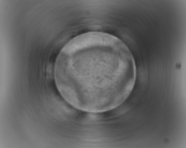 X0000113940234200910161922