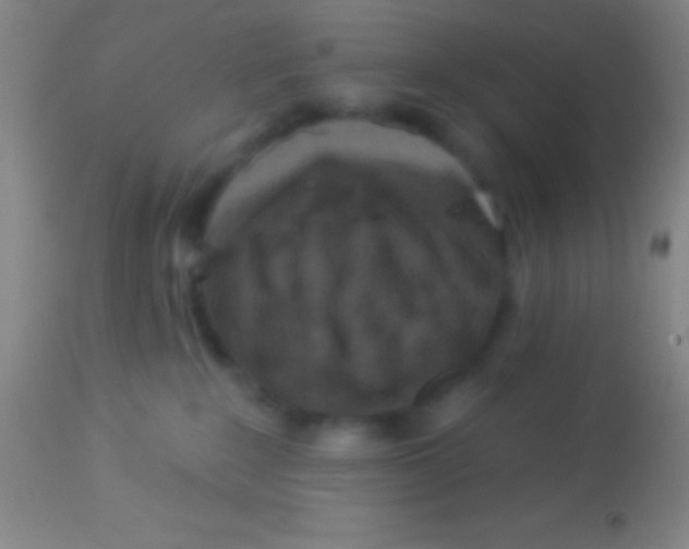 X0000113940235200910161922