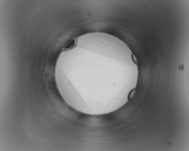 X0000113940236200910161922