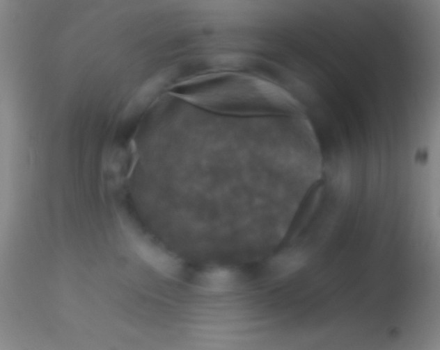 X0000113940237200910161922