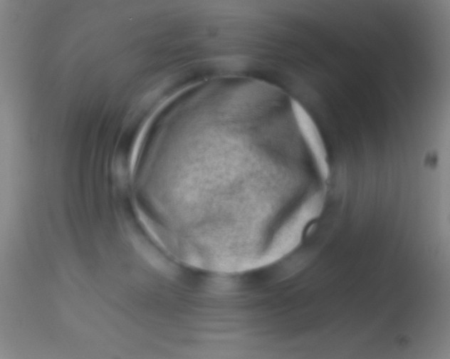 X0000113940238200910161922