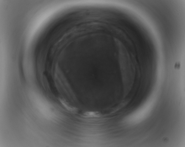 X0000113940239200910161922