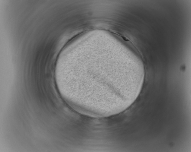 X0000113940241200910161922
