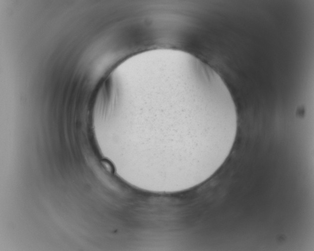 X0000113940242200910161922
